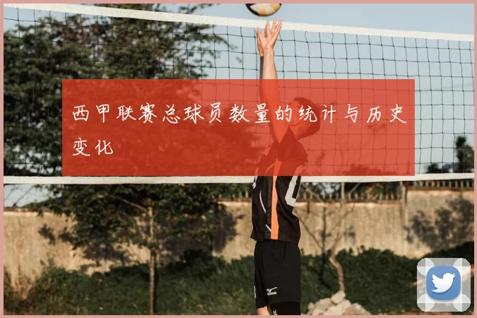 西甲联赛总球员数量的统计与历史变化