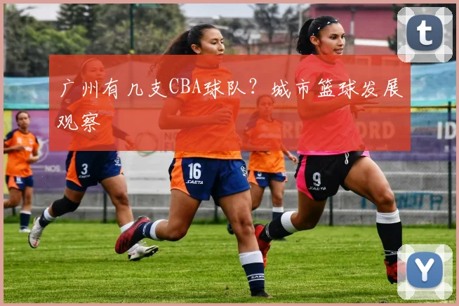 广州有几支CBA球队？城市篮球发展观察